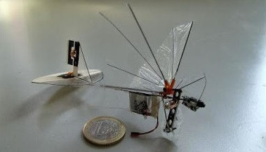 Sở dĩ họ chọn chuồn chuồn là vì loài này không chỉ có khả năng cơ động cao mà còn có khả năng bay lượn rất tốt so với các loài côn trùng khác. Nhờ vậy, chúng tiết kiệm năng lượng khi thực hiện các chuyến bay dài.