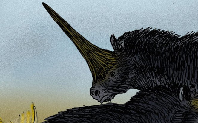 Khi trưởng thành, cá thể kỳ lân Siberia có thể cao tới 2m khi đứng và nặng khoảng 4 tấn.