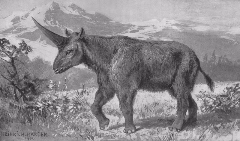 Kỳ lân Siberia có tên khoa học là Elasmotherium sibiricum. Chúng có bộ lông dày, xù xì và có một chiếc sừng trước trán.