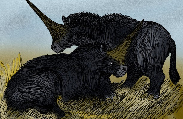 Theo các nhà khoa học, kỳ lân Siberia có chiếc sừng thon dài và nhọn.