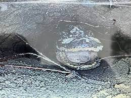 Phát hiện mới khiến các chuyên gia tò mò vì sao con cá sấu này lại đi xa đến như vậy để sử dụng hang rùa trên.