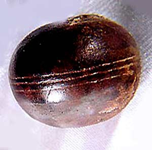 Đây là loại khoáng sản khá mềm với chỉ số 3 trong thang đo Mohs (thang đo từ 1 - 10 để phân loại độ cứng của khoáng vật. Trong đó, đá talc mềm nhất và kim cương cứng nhất.