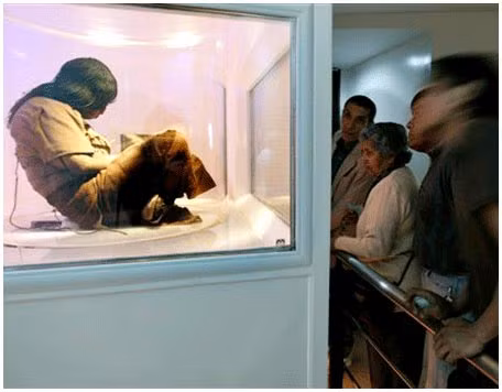 Từ phát hiện này, các chuyên gia suy đoán "Trinh nữ băng đá" và 2 đứa trẻ còn lại là nạn nhân của nghi lễ hiến tế. Những đứa trẻ được chọn làm người hiến tế có thể đã ăn lá coca thường xuyên trong khoảng 1 năm.