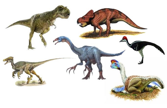 Việc phát hiện hóa thạch này giúp các chueyen gia nghiên cứu sự tiến hóa sinh học của khủng long trong kỷ Phấn trắng.