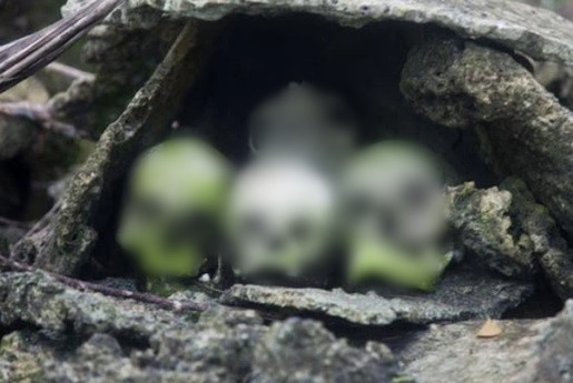 Địa táng và hỏa táng là 2 hình thức mai táng phổ biến nhất thế giới hiện nay. Tuy nhiên, một số nơi trên thế giới có những kiểu mai táng độc lạ, khó tin. Điển hình là kiểu mai táng bằng kiến của người dân ở trên quần đảo Solomon.