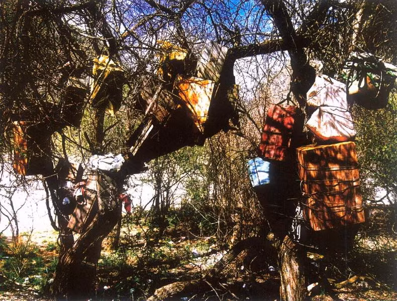 Theo truyền thống, thi thể các em bé xấu số sẽ được tắm rửa sạch sẽ rồi cho vào một chiếc hộp gỗ nhỏ. Sau khi hoàn thành các nghi lễ, người Nyingchi và Kangbei sẽ treo hộp gỗ chứa thi hài trẻ em lên trên cây.