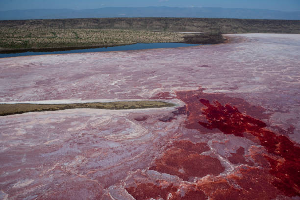 Hồ Natron có khả năng đặc biệt như vậy là nhờ ngọn núi lửa triệu năm tuổi Ol Doinyo Lengai nằm ở phía nam của hồ.