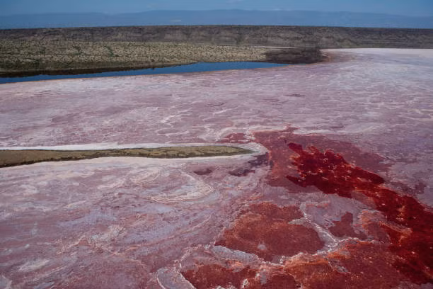 Hồ Natron có khả năng đặc biệt như vậy là nhờ ngọn núi lửa triệu năm tuổi Ol Doinyo Lengai nằm ở phía nam của hồ.
