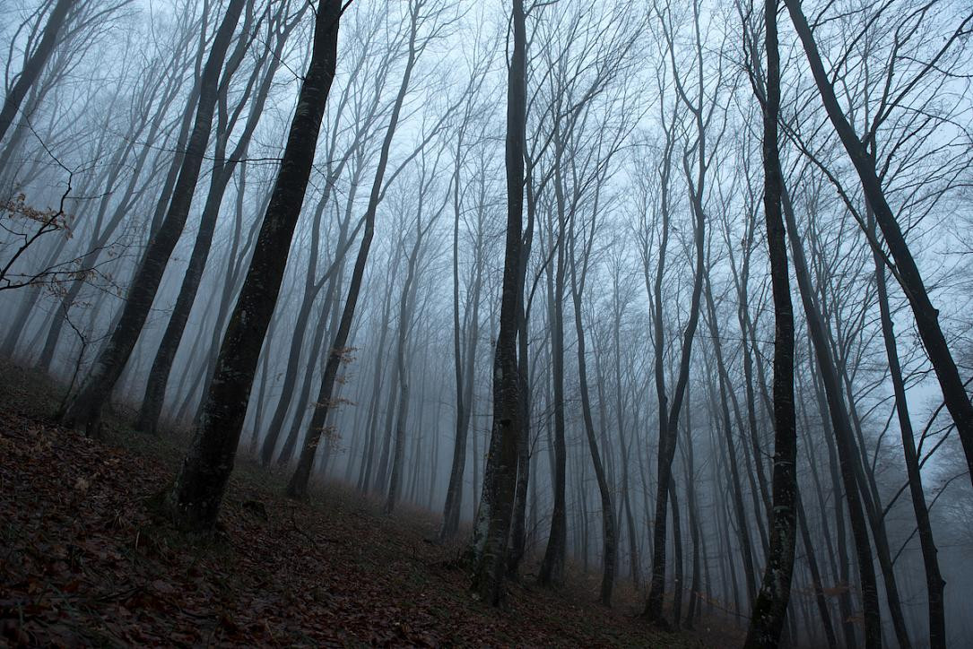 Đặc biệt, một số trường hợp còn bị đau nửa đầu, buồn nôn, chóng mặt, thậm chí quên thời gian.