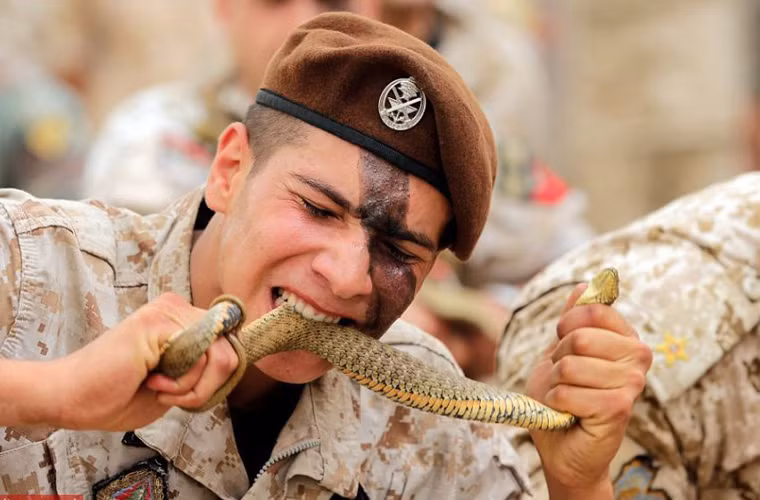 Người lính Lebanon nhắm mắt cố gắng ăn sống con rắn cũng lọt vào top bức ảnh quân sự ấn tượng nhất tuần qua.