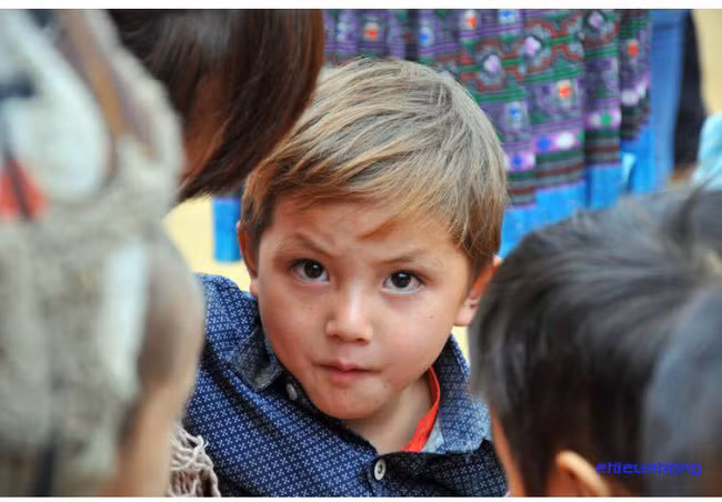 Với đôi mắt to tròn, làn da trắng và đặc biệt là mái tóc vàng đã khiến bé trai người dân tộc này trở thành nhân vật được dân mạng Việt xôn xao bàn tán. Dù gương mặt em bé trong những bức ảnh dân mạng lan truyền có chút lấm lem nhưng vẻ xinh xắn, ngây thơ, cùng đôi mắt sáng của em vẫn tạo ra nhiều ấn tượng. Trước khuôn mặt rất Tây của em bé, nhiều bạn trẻ cho rằng em là con lai và hiện đang sống ở Sa Pa.