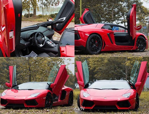 Vũ Sơn Tùng theo học trường Đại học Kinh doanh và Công nghệ Hà Nội và hiện là Phó Tổng Giám đốc Tập đoàn Bảo Tín. Chàng trai này là thành viên nổi trội trong giới mê siêu xe tại Việt Nam.