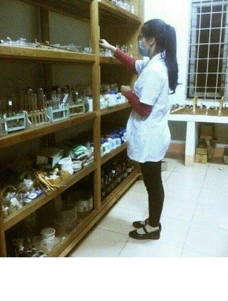 Có thế mạnh ở những môn học Toán, Lý, Hóa... nên suốt những năm tháng ngồi trên ghế nhà trường Việt Trinh đã giành được rất nhiều danh hiệu, giải thưởng học tập với những môn này. Ngoài thời gian học trên lớp, những kiến thức có được từ trong sách vở, cô nữ sinh Đắk Nông xinh đẹp còn cố gắng góp nhặt thêm rất nhiều kiến thức, kinh nghiệm thực tiễn từ quá trình tự mày mò sáng chế, tham gia các diễn đàn khoa học và trong chính những cuộc trò chuyện hàng ngày với những người xung quanh.