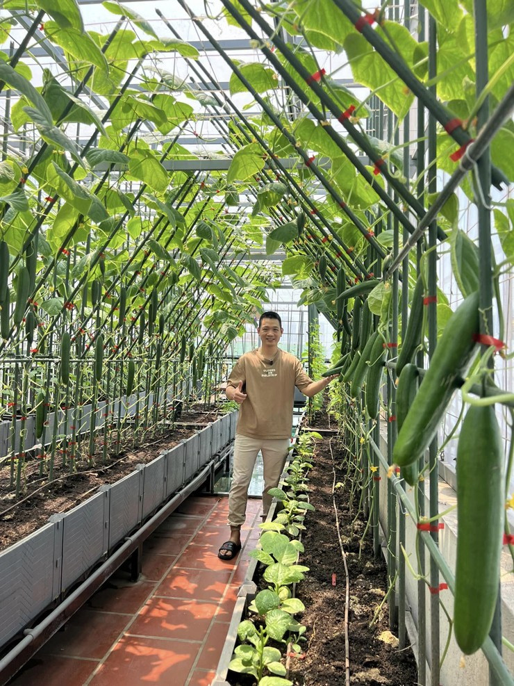 Khu vườn sân thượng được làm gần nửa tỷ đồng - Hình 2 Khu vuon san thuong duoc lam gan nua ty dong-Hinh-2