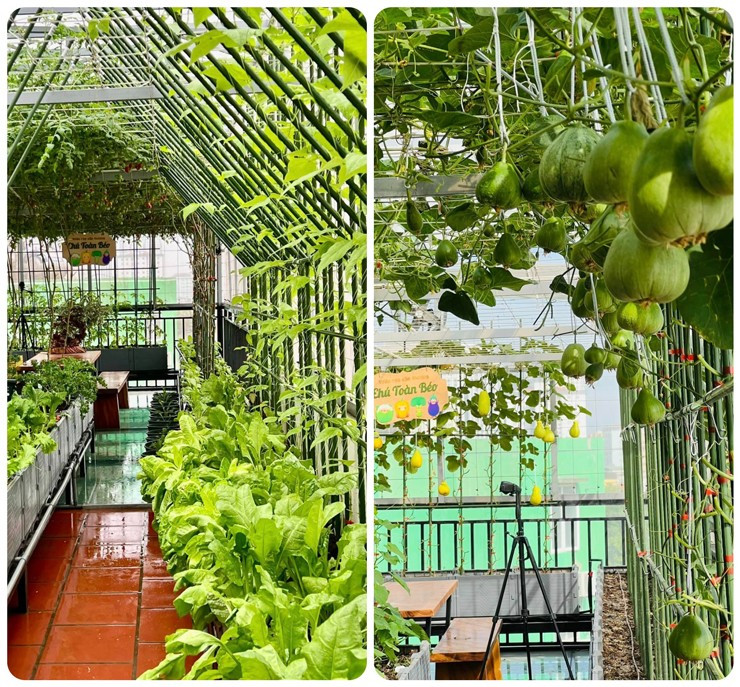 Khu vườn sân thượng được làm gần nửa tỷ đồng - Hình 6 Khu vuon san thuong duoc lam gan nua ty dong-Hinh-6