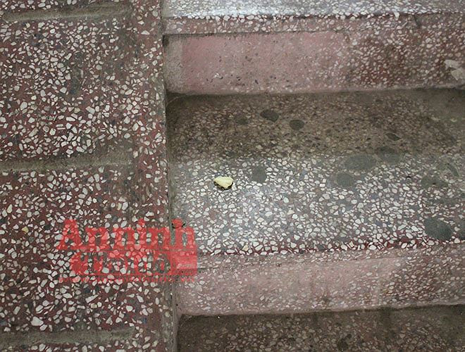 Cầu thang dẫn lên căn phòng 208 của khu tập thể này vẫn còn những nhánh tỏi sót lại.