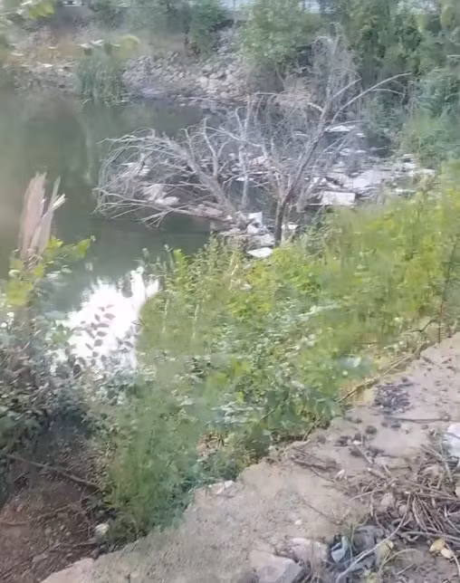 Bỗng nhiên, trong lúc đang mò mẫm, anh Tương cảm thấy dưới chân giẫm phải một vật cứng, lại không có cảm giác là đá.