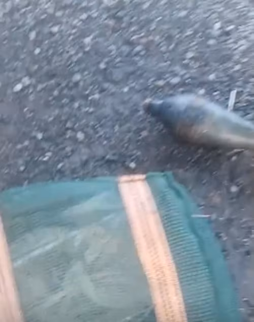 Đồng thời, cảnh sát cũng biểu dương hành động đúng đắn của anh Tương, kêu gọi mọi người khi tìm thấy bom, đạn, pháo, hãy báo ngay cho chính quyền và các ban ngành liên quan, tuyệt đối không được tự xử lý, tránh các tai nạn đáng tiếc xảy ra.