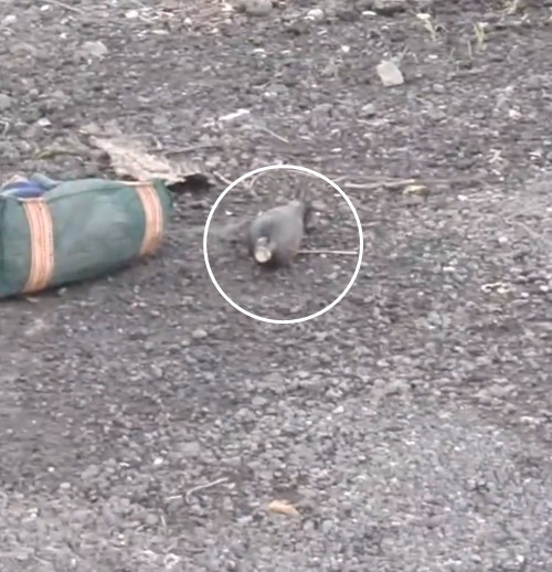 Theo anh Tương, đây sẽ là câu chuyện mà anh nhắc lại nhiều lần với bạn bè, người thân vì quá đáng nhớ.