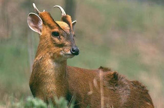 Sau khi thông tin lan truyền trên mạng, rất nhanh đã thu hút đông đảo sự quan tâm, chú ý của dư luận.