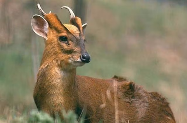 Sau khi thông tin lan truyền trên mạng, rất nhanh đã thu hút đông đảo sự quan tâm, chú ý của dư luận.