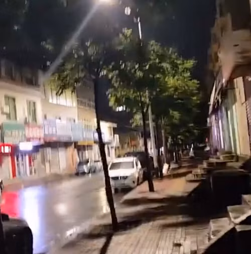 Theo anh Vương, chú chó hoang này thường xuyên xuất hiện tại khu vực cửa hàng của anh.