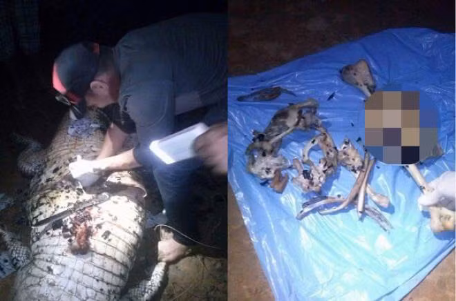 Vào tháng 7 cùng năm, một bé gái 14 tuổi tại Indonesia đã bị một con cá sấu tấn công, cắn chết khi cô đang giặt quần áo bên bờ sông.