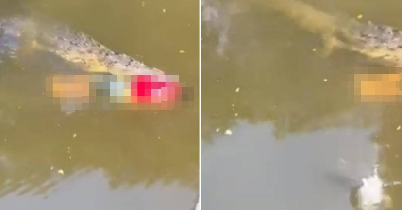 Gần đây, tại Costa Rica, một cầu thủ bóng đá 29 tuổi tên Jesus Lopez Ortiz gặp bi kịch đau lòng khi nhảy xuống sông để tắm giải nhiệt nhưng không may bị một con cá sấu khổng lồ tấn công và qua đời.