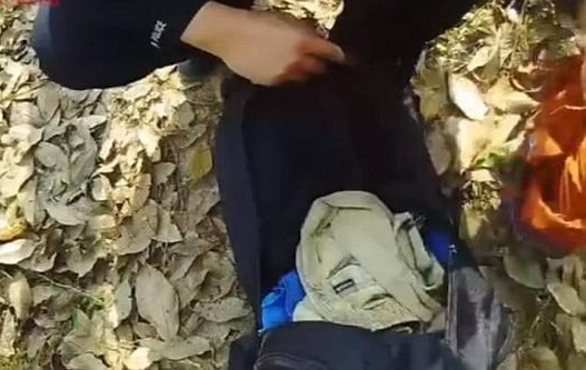 Như để trả ơn cảnh sát, khi 4 con voi châu Á đang di chuyển ngang qua một con đường, con voi lớn nhất đột ngột dừng lại, dùng vòi ngửi vài lần trong một bãi cỏ và sau đó mạnh mẽ cuốn lên một chiếc ba lô, ném về phía cảnh sát.