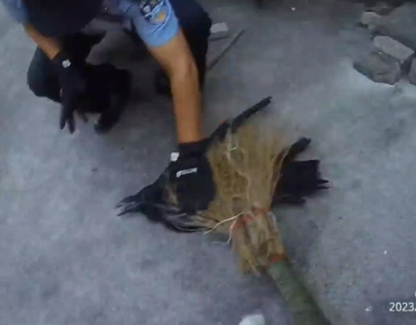 Rất nhanh, cảnh sát đã trấn áp được con chim và bắt nó cho vào lồng, giao cho Trung tâm bảo tồn động vật hoang dã Vũ Hán để xử lý.