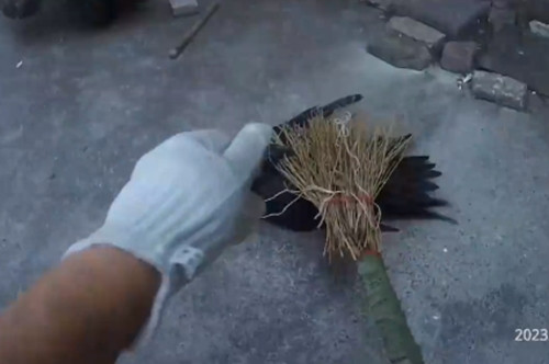 Người dân sợ hãi phải bỏ chạy trước đòn tấn công của con chim suốt nhiều ngày. Cuối cùng, không còn cách nào khác, họ gọi cảnh sát giúp đỡ.