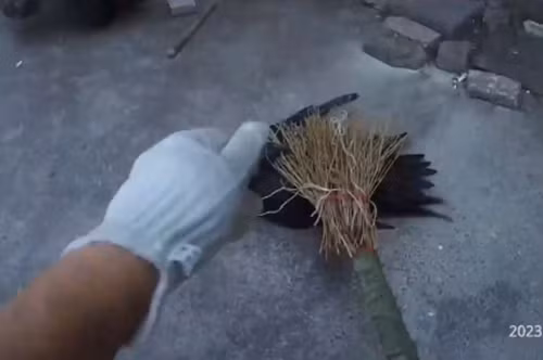 Người dân sợ hãi phải bỏ chạy trước đòn tấn công của con chim suốt nhiều ngày. Cuối cùng, không còn cách nào khác, họ gọi cảnh sát giúp đỡ.