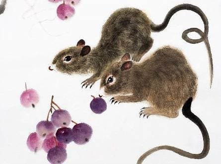 Tuần mới (28/8 - 3/9) sẽ là một tuần có nhiều niềm vui đối với tuổi Tý. Trong tuần này, Tý sẽ nhận được rất nhiều tin lành, may mắn cũng ập đến không ngừng. Đặc biệt, sự xuất hiện của quý nhân sẽ khiến cuộc sống của Tý suôn sẻ hơn, có những bước tiến dài trong nhiều lĩnh vực khác nhau.