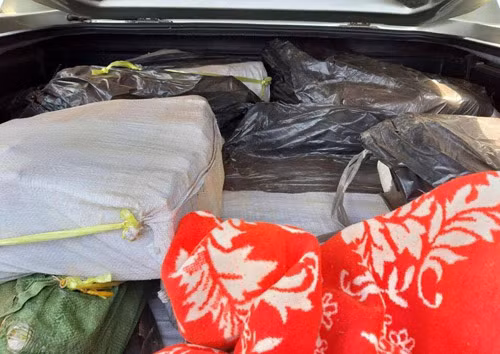 “Sao huyet” ma tuy lon nhat TPHCM: Bi mat ben trong Cty Hasan-Hinh-4