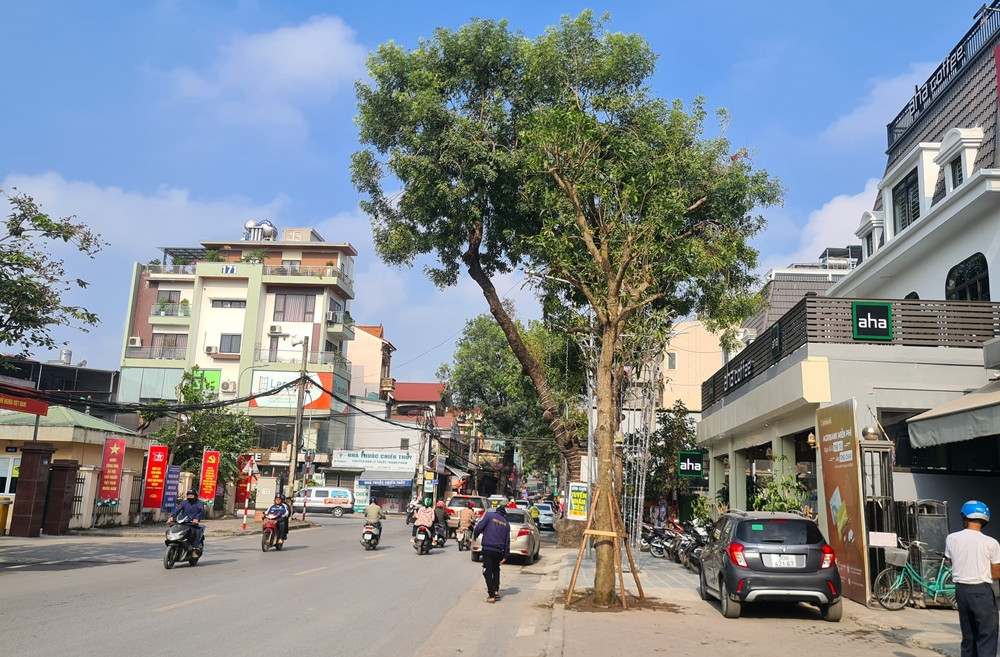 Nằm đối diện với trụ sở UBND phường Đại Mỗ, có công trình đang cho thuê kinh doanh quán cà phê "aha". Công trình này bị phản ánh xây dựng trái phép phần mái hiên tầng 1 và cơi nới phần tum, có dấu hiệu vi phạm trật tự xây dựng (TTXD).