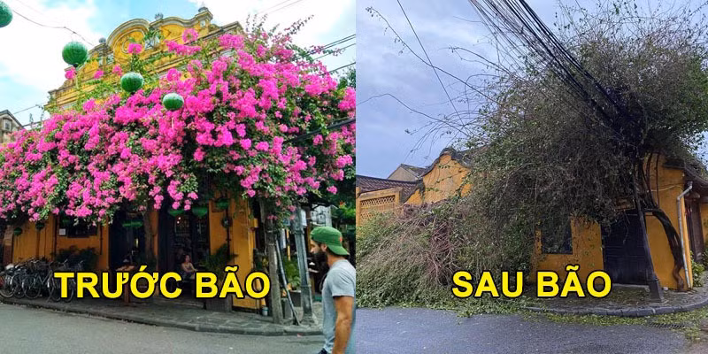 Trước khung cảnh ấy, cư dân mạng đã bày tỏ nỗi xót xa và cảm thấy tiếc nuối về địa điểm check - in sống ảo nổi tiếng Hội An này. Ảnh: Facebook