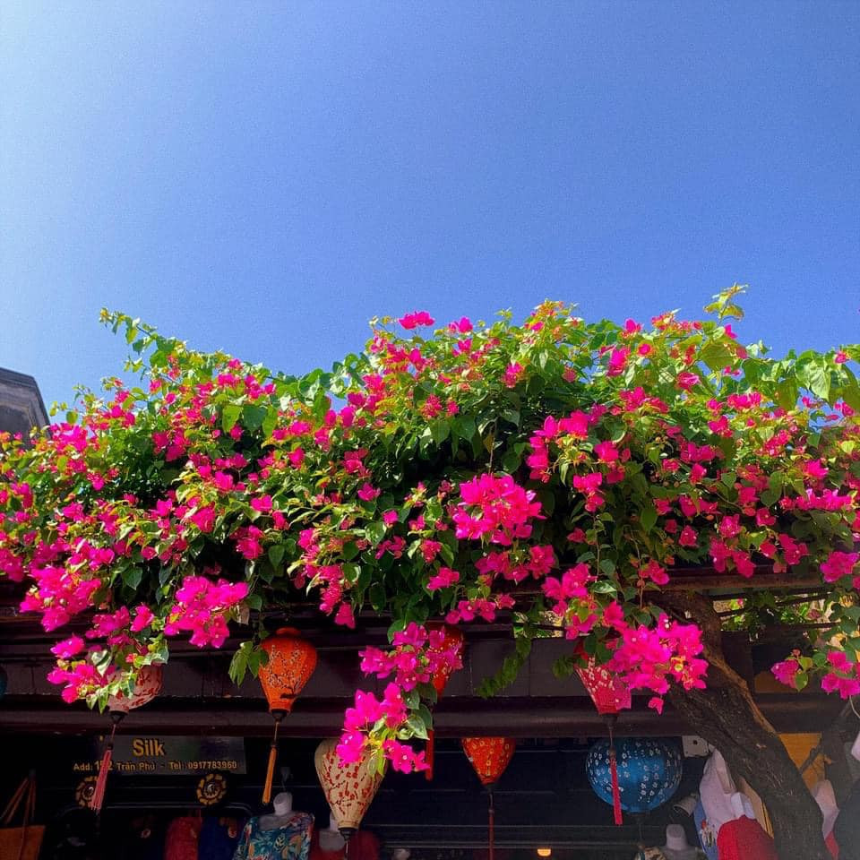 Nhờ nằm sâu trong phố cổ, buổi tối đường Nguyễn Thái Học thắp đèn lung linh, lãng mạn kèm tiếng nhạc hòa tấu phát ra từ loa làm bạn có cảm giác như được trở về ngày xưa. Ảnh: Bùi Huy Khang