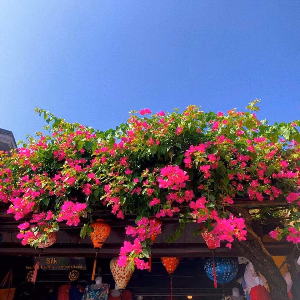 Nhờ nằm sâu trong phố cổ, buổi tối đường Nguyễn Thái Học thắp đèn lung linh, lãng mạn kèm tiếng nhạc hòa tấu phát ra từ loa làm bạn có cảm giác như được trở về ngày xưa. Ảnh: Bùi Huy Khang