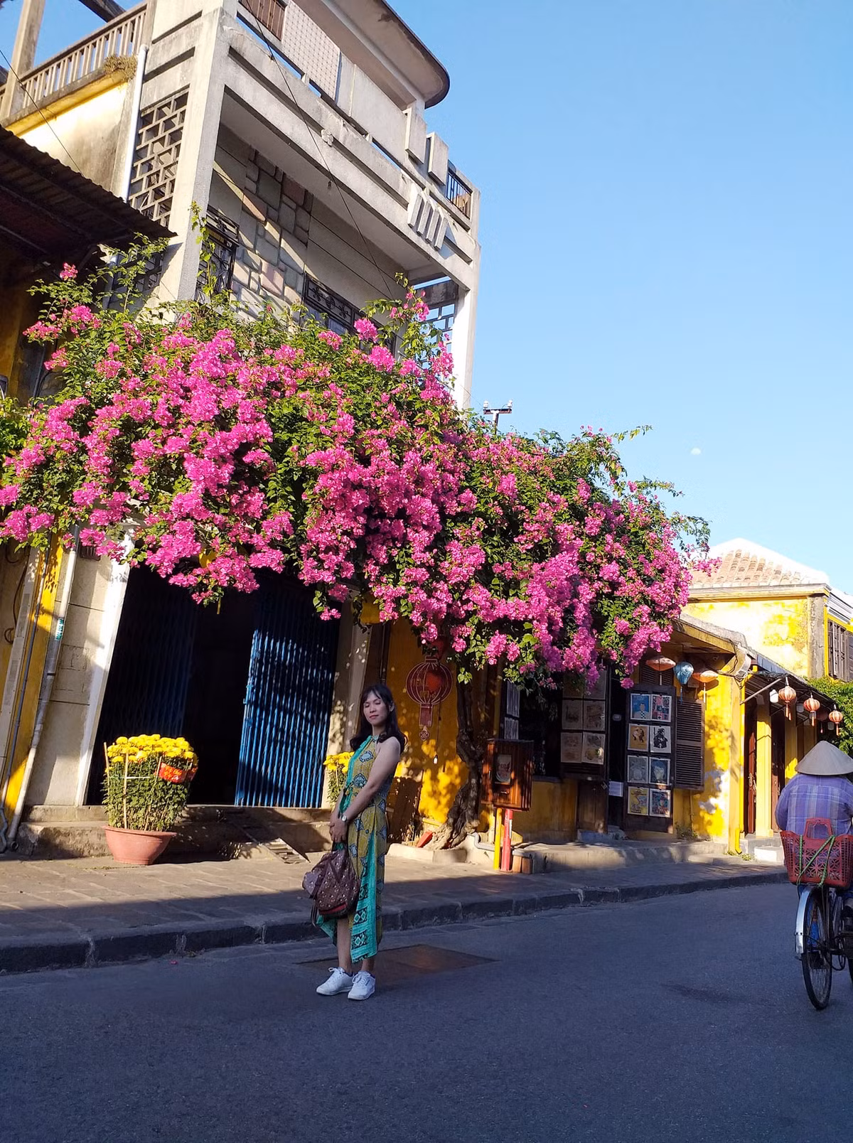 Dàn hoa giấy rợp bóng cây cũng là nơi mà du khách vẫn cảm thấy mát mẻ mỗi khi đi ngang qua đây vào trời hè nóng nực. Ảnh: Út Hà