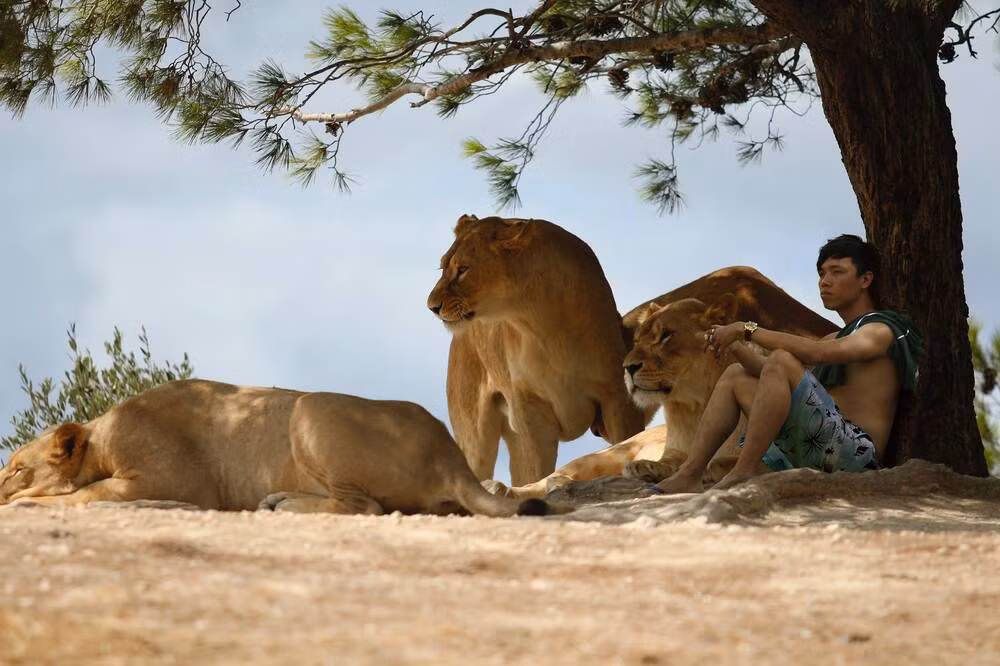 Group chuyên về ghép ảnh mà anh tạo ra cũng thu hút số lượng thành viên lên đến hàng trăm nghìn. Có thể nói, Mai Xuân Huy hiện tại đã thành công với đam mê mà mình lựa chọn.