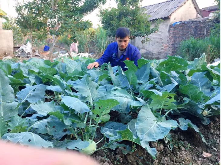 Được biết, hiện tại, anh làm tại phòng nhân sự và lưu trữ hồ sơ của một công ty. Ngoài giờ làm, anh cũng phụ giúp gia đình chăm sóc vườn cây ăn trái.