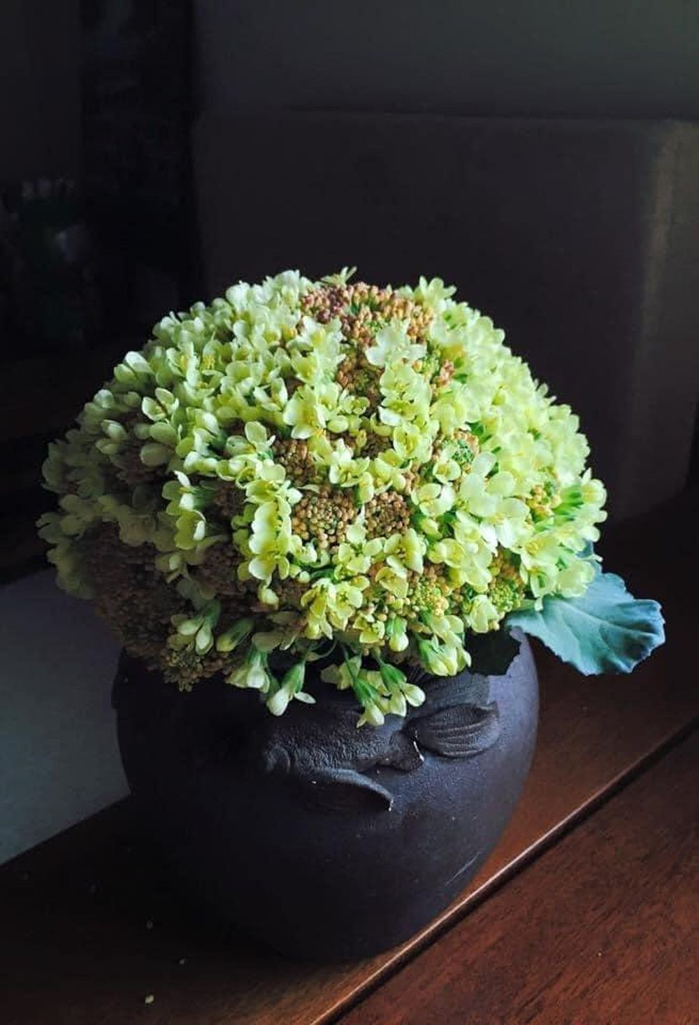 Nhìn những bình hoa súp lơ đẹp mắt được nhiều chị em chia sẻ cư dân mạng lại hô hào nhau mua hoa súp lơ về cắm chơi trong nhà cũng rất đẹp và bền. Ảnh: Trần Mai Hương