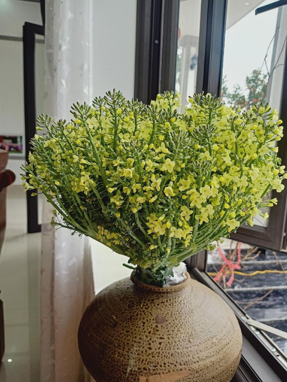 Tuy nhiên khi cây đã quá lứa vì chưa thu hoạch nên từ nụ hoa sẽ nở thành từng chùm hoa vàng nở rộ rất đẹp mắt. Nhiều chị em đảm đang đã tận dụng nó tạo nên những bình hoa trưng diện trong nhà. Ảnh: Vĩ Kiên