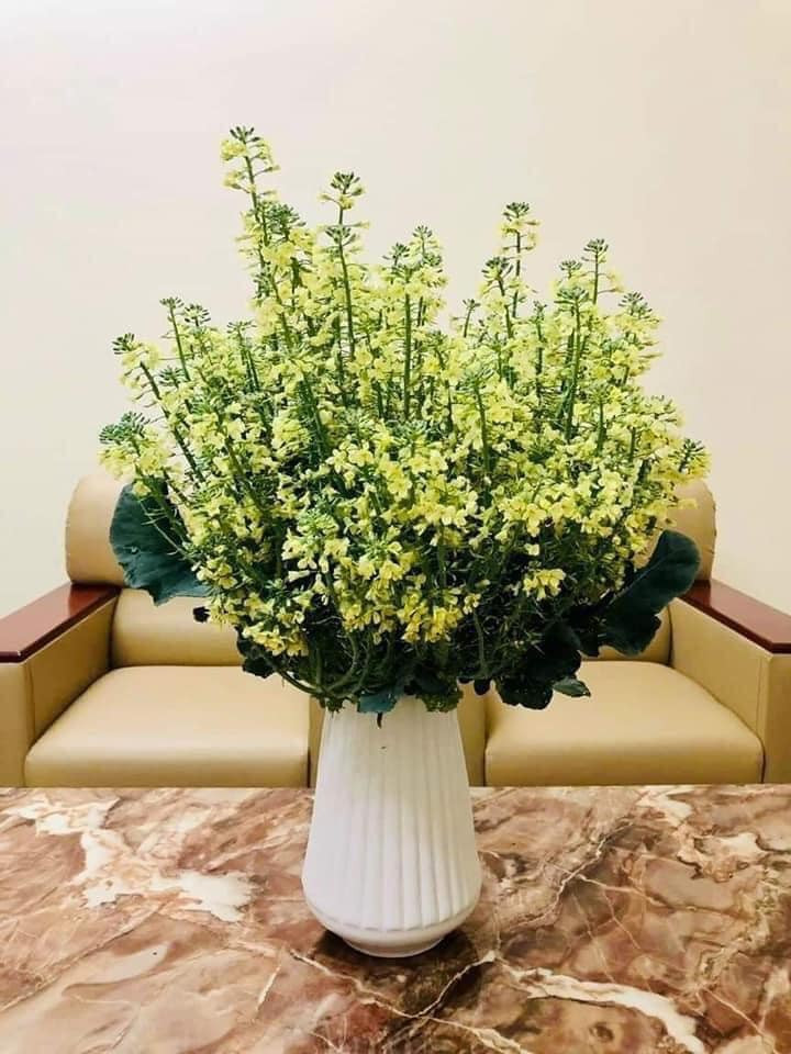 Nếu không thể ăn được thì chúng ta có thể mua về, lấy 1 lọ hoa để cắm vào.