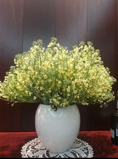 Biết được tình trạng này, nhiều chị em đã chung tay giải cứu hoa súp lơ cho người nông dân. Mặc dù cây đã quá ngày thu hoạch và không thể bán được nhưng nhiều người vẫn mua lại để… cắm bình.