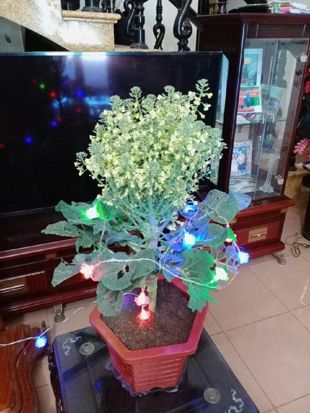 Việc làm này mang ý nghĩa tích cực, góp phần không nhỏ trong việc giải cứu nông sản giúp đỡ bà con nông dân. Ảnh: Yến Hoa