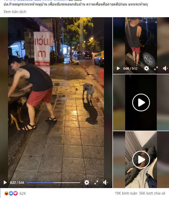 Vào tháng 10/2020 trên mạng xã hội xuất hiện bài đăng của một anh chàng người Thái Lan có tên Yutthaphum, trong lần đi nhậu và say xỉn Anh thấy chú chó hoang không có chủ đi cùng liền ôm nó lên xe đưa về nhà bất chấp việc con vật từ chối và muốn chuồn khỏi xe.