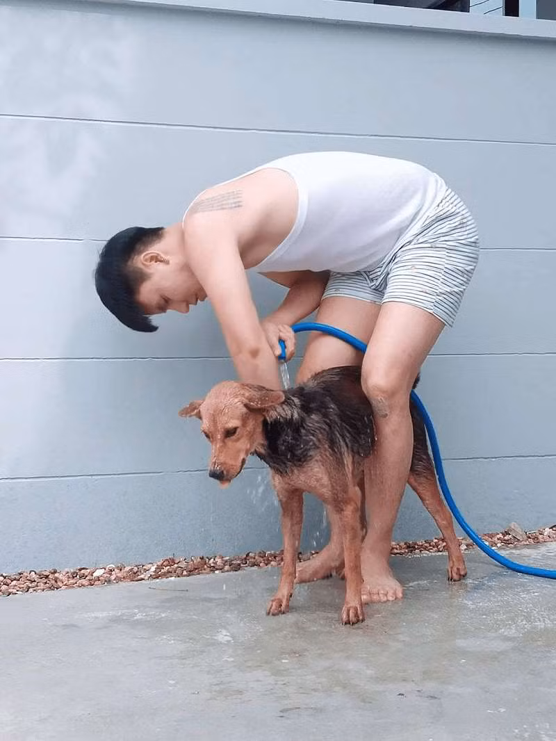 Sau khi về chung một nhà với người chủ mới, chú chó hoang ngày nào đã có cuộc sống hoàn toàn khác. Moota được chủ yêu thương, chăm sóc và mặc lên mình những bộ cánh lộng lẫy.