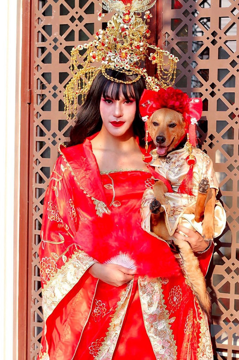 Nhiều người thậm chí còn ghen tị với cuộc sống vương giả quý tộc của "cô chó" này.