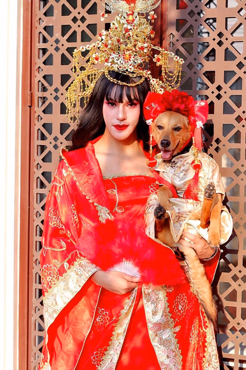 Nhiều người thậm chí còn ghen tị với cuộc sống vương giả quý tộc của "cô chó" này.